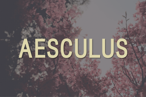 Aesculus: A Modern Sans Serif for Clean Digital Design