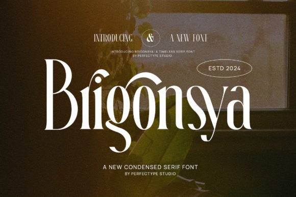 Brigonsya: The Font That Gave My Bakery a New Look
