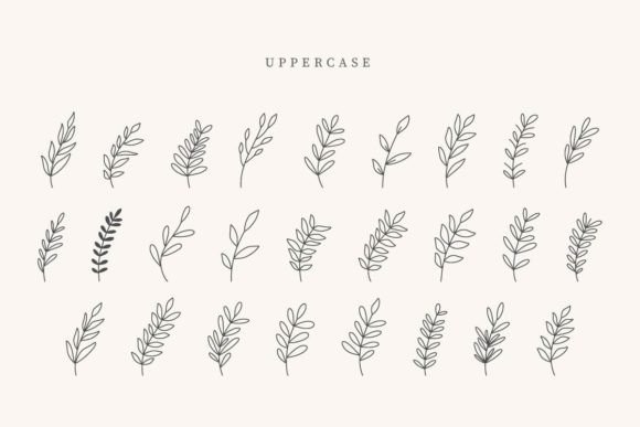 Estero Leaves: A Botanical Touch for Editorial Design