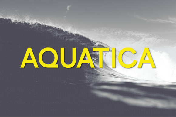 Font Choice That Matters: How Aquatica Elevates Campaign Design