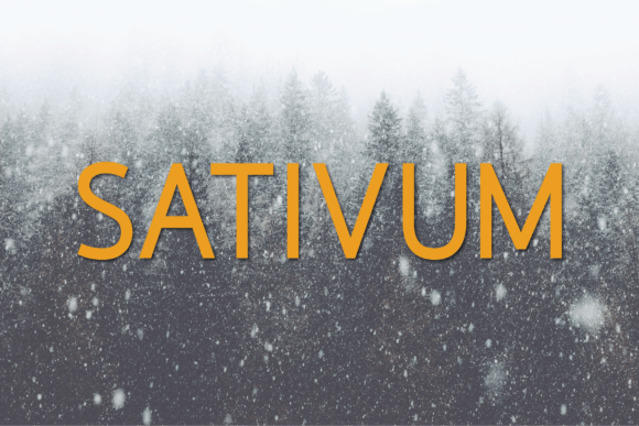Font That Elevates Your Brand: Sativum
