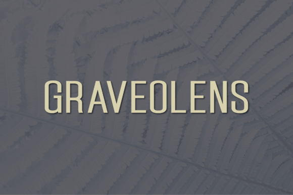 Graveolens: A Modern Sans Serif for Digital Design