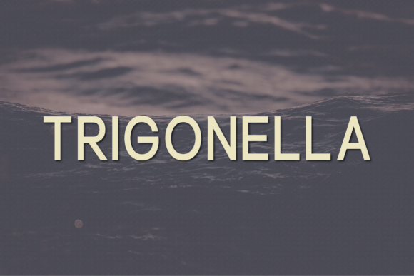Trigonella: A Font That Elevates Editorial Design